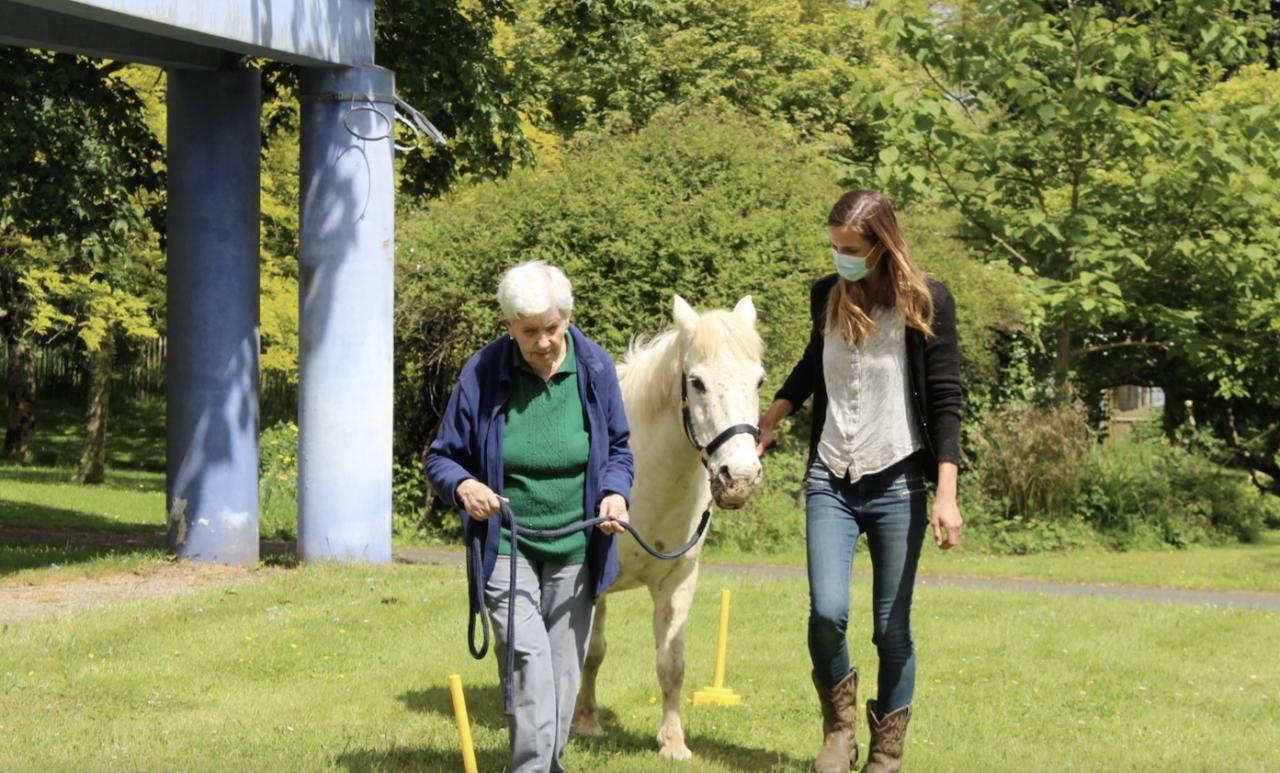 Plougastel Equitherapie