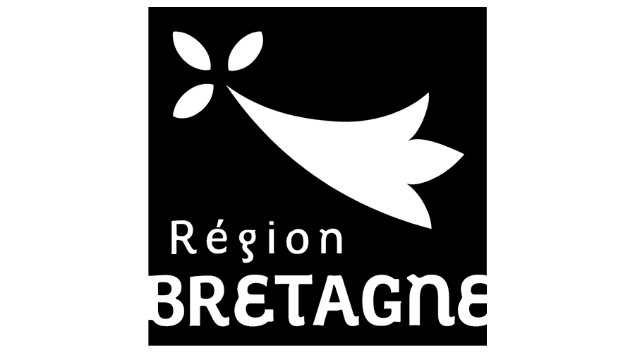 Region Bretagne Logo Vector
