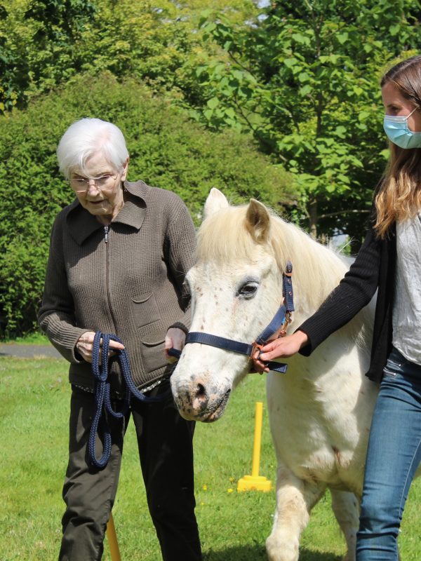 Hospitalite Saint Thomas De Villeneuve Urca Equitherapie
